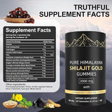 Gomitas Shilajit puras del Himalaya