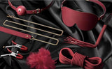 Juego de restricciones BDSM de lujo| 13 piezas